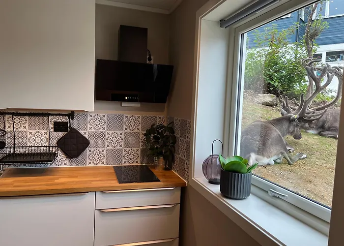 Апартаменты G-suites Тромсё